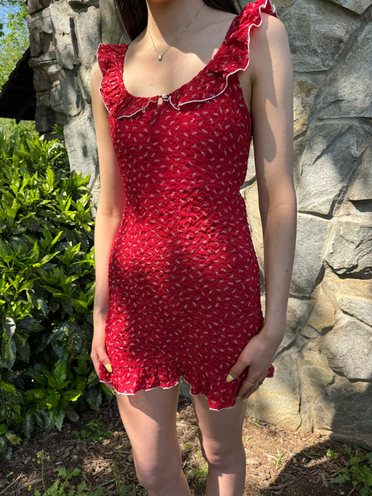 Samantha Mini Dress
